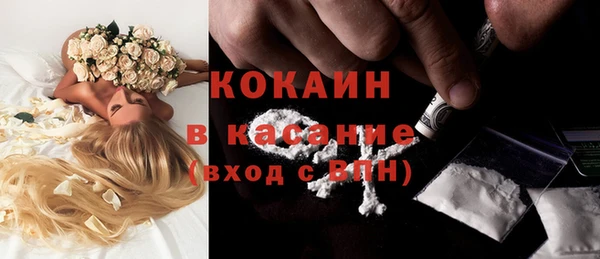 шишки Балабаново
